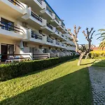 Akisol Tavira Jungle
