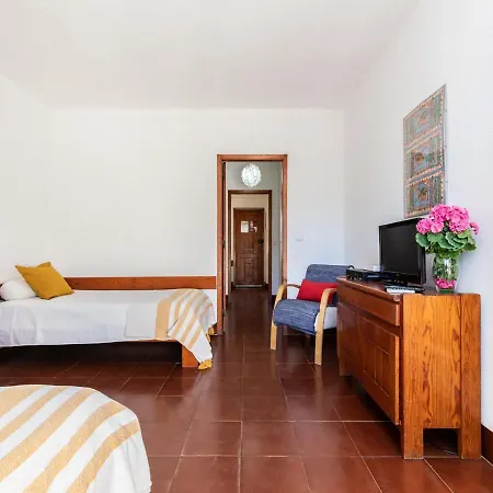 Akisol Tavira Jungle