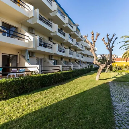 Akisol Tavira Jungle