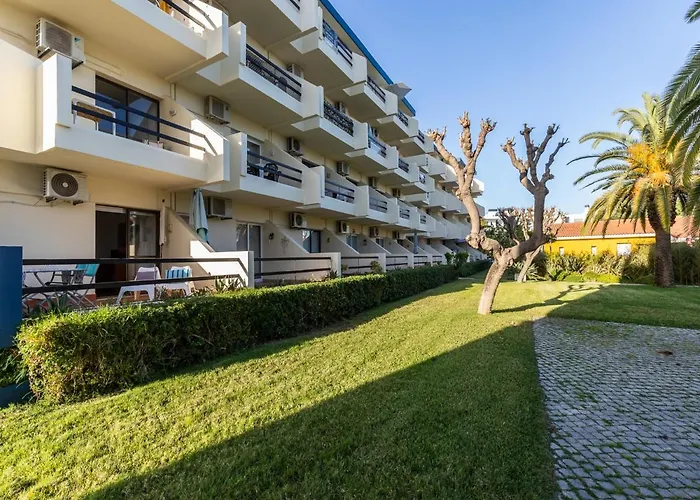 Akisol Tavira Jungle